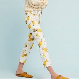 Lemon Pilcro & the Letterpress Pants by Anthro